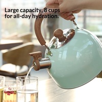 Bouilloire à sifflet en acier inoxydable 201 de 2,5 litres, nouvelle cuisinière à induction transfrontalière, universelle, au gaz et au charbon, vert clair, avec couvercle