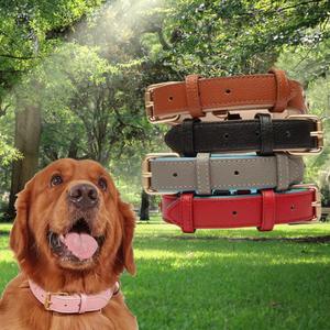 <span class=keywords><strong>Collar</strong></span> impermeable para mascotas a precio de fábrica, hebilla de aleación dorada, diseño de lujo para perros pequeños y grandes - Product Image 4