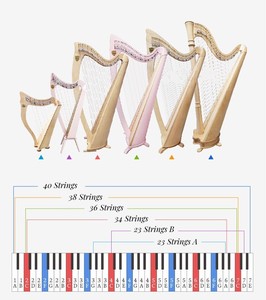 Corde in Nylon JELO AQ-1 34 <span class=keywords><strong>per</strong></span> Arpa Irlandese con <span class=keywords><strong>Disegni</strong></span> Incisi <span class=keywords><strong>per</strong></span> <span class=keywords><strong>Chitarra</strong></span> - Product Image 4
