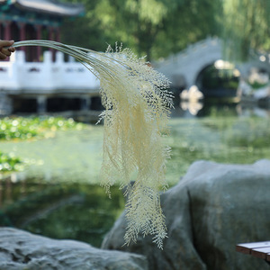 Flores Artificiales Xinchengzhi de 100 cm de Altura, Simulación Realista, Decoraciones para Bodas, Guirnalda Colgante para Exteriores - Product Image 3