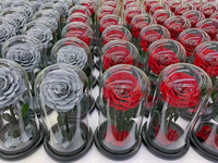 Prix d'usine en gros, roses éternelles préservées, faites à la main, longue durée (3-5 ans), base en métal doré, dôme en verre, décoration d'intérieur, cadeaux