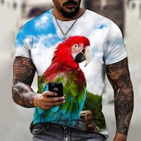 2023 Großhandel Kurzarm Overs ized Top T-Shirt Hochwertige Herren Damen 3D Papagei Farbe gedruckt Polyester/Baumwolle gestrickt