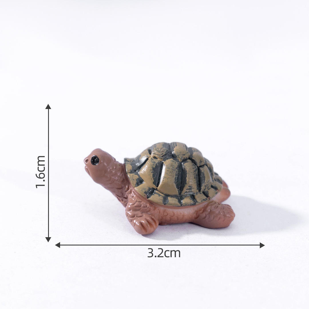 N &deg; 2 Tortuga terrestre