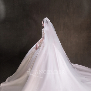 Abito da sposa elegante abito da ballo paillettes 3D applique in pizzo abiti da sposa <span class=keywords><strong>Vestina</strong></span> De Novia taglie forti su misura Lsht080 - Product Image 4