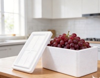 Boîte en mousse de polystyrène pour aliments froids, glace sèche, transport médical, fruits, poissons, légumes et viandes