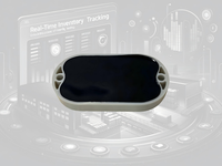 Balise BLE WEIOT T30-T, balise de comptage d'actifs avec une autonomie de 5 ans, suivi des actifs, distance de diffusion supérieure à 100 mètres