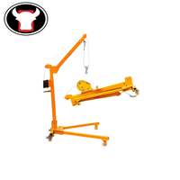 Mini grue à bras portable de 500 kg, palan à moteur, fonctionnement manuel, conception pliable en métal, vente au détail, hôtels, usine de fabrication, nouvelle corde métallique