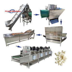 สายการผลิตกระเทียมอัตโนมัติประสิทธิภาพสูงรวมถึงเครื่องคัดแยกปอกเปลือกผักผลไม้ - Product Image 5