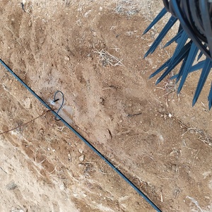 Système d'irrigation de serre, <span class=keywords><strong>arrosage</strong></span> facile à installer, tige réglable pour les arbres - Product Image 5