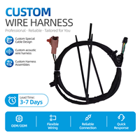Clips Adaptadores para Arnés de Cableado Automotriz OEM Personalizados, Conductor de Cobre, Aislamiento/Cubierta de PVC, Clasificación IP68, Longitud y Tamaño Personalizables