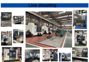 ปะเก็น T.7 46มม. สำหรับวอลโว่1523232 - Product Image 5