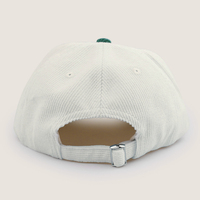 Gorra de Béisbol Personalizada para Deportes al Aire Libre, con Visera Curva, Logotipo, Dos Tonos, Estilo Vintage, Sin Estructura, 5 Paneles, de Pana, para Hombre