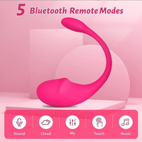 APP-gesteuerter Slip-Vibrator Tragbarer Kabelloser Ferngesteuerter Leiser Wasserdichter Klitoris-Saugvibrator Erwachsenen-Spielzeug