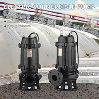 Pompe submersible électrique en fonte robuste sur mesure 220V 380V 440V pour l'aspiration de boue et l'évacuation des eaux usées
