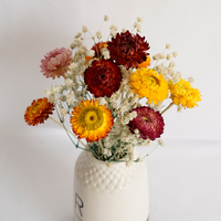 Fabricant de fleurs séchées Bouquet de marguerites 100% Chrysanthème naturel Fleur sèche Home Decora Party DIY Arrangement Blé Paille en vrac