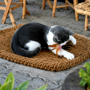 Eco2go Vietnam Luxury Sustainable Coir Pet Mattress - Modern Decor & High Quality - Product Image 1