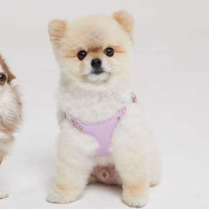 Arnés de Perro de Cuero Premium para Entrenamiento de Agilidad, Arnés Acolchado para Pasear Mascotas con Diseño Ligero para Saltar y Correr - Product Image 3