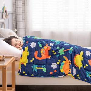 Couverture en peluche lestée pour l'autisme en gros Insugar Dinosaur Fleece Sleeping Calm Minky Dots Kids Hush Weighted Blankets - Product Image 2