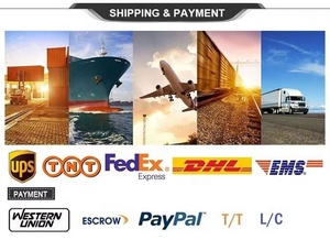 Cuenta compartida de ChatGPT 5.0 Plus por 1 mes - Product Image 2