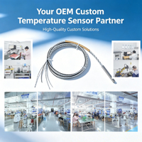 Stainless Steel Thermocouple OEM Temperature Probe 0-300°C Wide Temperature Range 0.1°C High Precision RTD Sensor for HVAC
