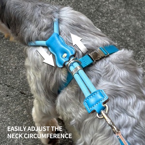 専用ラベルハイエンドマクロン犬用ベストレザーパッド入り登山ロープカスタム工場パーソナライズY形状犬用ハーネスロープリース - Product Image 2