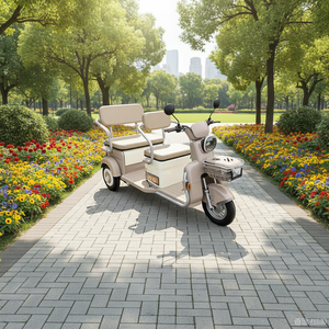 Triciclo de 3 Plazas |   Cuerpo Abierto |   Certificado por la CEE |   60V+ |   Potencia de 800W |   Directo de Fábrica en China, Personalizable - Product Image 1