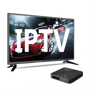 最高のEXIPTVボックスサポートMega ProIPTVサポート米国アラビア12か月保証リセラーパネル3デバイス