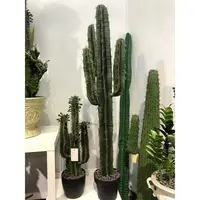 Cactus Piante Albero Artificiale di alta Qualità per il Negozio Hotel Shopping Mall Vendita Falsi Cactus Tropicali Verde