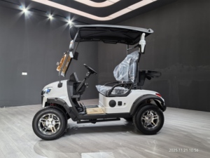 WELIFTRICH 3-4 Seat 60V Lithium Battery Fully Waterproof Steel <b>Frame</b> Off-Road Electric Golf Cart Outdoor Golf <b>Play</b> 30-50Km/h CE - Product Image 4