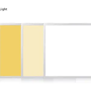 2020 双色可调光led灯面板 2x2 led面板灯智能传感器控制led面板灯的家