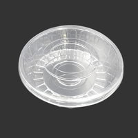 Y-2500 Hot Selling Duurzame Transparante Plastic Fruit Snijdoos Watermeloen Fruitsalade Transparante Verpakkingsdoos Vers Gesneden Fruit