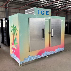 Congélateur vertical à deux portes pour sacs de glace, approvisionnement direct usine, prix compétitif - Product Image 5