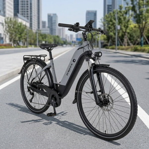 Nueva Bicicleta Eléctrica D-awes S-pire 2.0 de Grado Industrial para Bricolaje, Precio de Fábrica, 3 Años de Garantía, Envío Gratuito a Todo el Mundo - Product Image 3