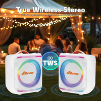 Haut-parleur portable haute puissance avec subwoofer, basses profondes, appareil audio sans fil, prend en charge TF, USB, FM pour les rassemblements en extérieur