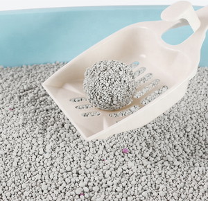 Litière pour <span class=keywords><strong>chat</strong></span> en bentonite de forme sphérique, à faible poussière, écologique, naturelle, à forte agglomération, blanche, parfum personnalisé, 10L, <span class=keywords><strong>filtre</strong></span> - Product Image 4