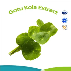 Food Supplement Gotu Kola Extract Hydrocotyle Asiatica Extract Top Quality Powder