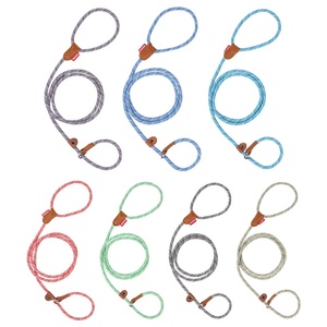 Nylon Ngoài Trời Chống cháy nổ vật nuôi dây xích cho chó đi bộ đào tạo mô hình rắn Ribbon cổ áo cho bichon Pomeranian Teddy Puppy - Product Image 4
