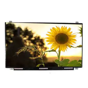 Sun Readable Outdoor Sunlight Lcd IPS 15.6inch 1920x1080 Edp Interface 30pin 800nits TFT LCD Lcm