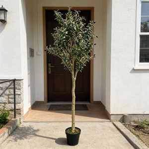 Olivos de Plástico Desmontables para Decoración Interior/Exterior, Navidad y Año Nuevo, Ecológicos, Paquete de Varias Piezas - Product Image 4