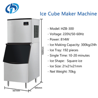Machine à Glaçons Commerciale 300kg/24h, Automatique en Acier Inoxydable, pour la Fabrication de Blocs de Glace et de Cubes, Idéale pour les Professionnels