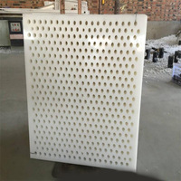 Plaques en nylon, HDPE et PP personnalisées non toxiques, épaisseur 10 mm, plaque en plastique perforée avec services de dessin et de découpe