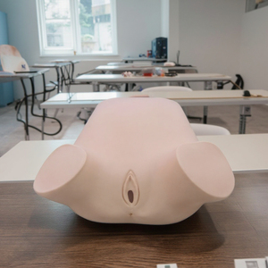 Четырехступенчатая модель обучения пальпации, анального и вагинального обследования для акушерства и гинекологии - Product Image 3