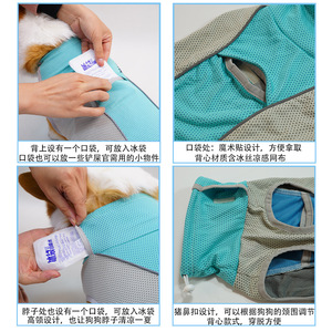 Summer Cooling Vest <b>For</b> <b>Cats</b> Ice Blue And Fruit Green Air Conditioning Style Thin Breathable Pet <b>Clothes</b> <b>For</b> Devon <b>Cats</b> - Product Image 3