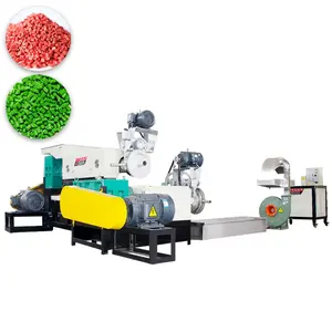 300 kg/hr Granulador Polietileno Maquinaria Para Reciclar Plastico Harga Mesin Pellet Plastik HDPE Motor Planta de fabricación