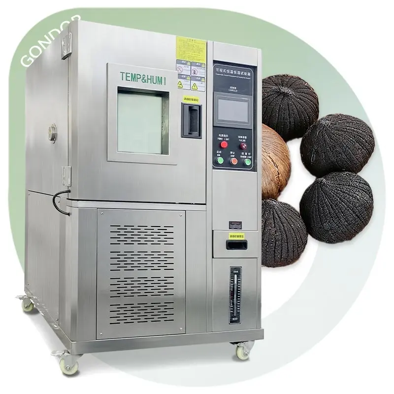 Producto japonés totalmente automático comercial negro ajo Cámara precio fabricante 100 Kg máquina de fermentación para la venta