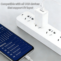 Fabrieksgroothandel 10W 5V2A USB snellader universeel voor mobiele telefoon, camera, smartwatch, brandwerend ontwerp, OEM