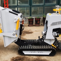Mini-dumper sur chenilles vendu directement par les fabricants, fabriqué en Chine pour les chantiers de construction