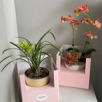 Boîte Cadeau de Luxe en Carton Recyclé pour Bouquet de Fleurs, Idéale pour Plantes Vertes et Succulentes du Nouvel An