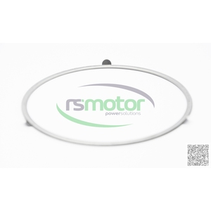 Bague d'étanchéité d'origine OEM pour moteur MWM RS-12275302 Natural Gas Engine Parts - Product Image 3