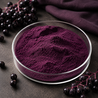 Leverancier van natuurlijk zwart vlierbessenextract Anthocyanidinen 10% 25% Vlierbessenextract